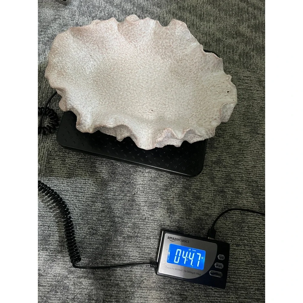Ceramic Sylvia Bowl Planter Ruffled Clam Shell Speckled Neutral Coastal